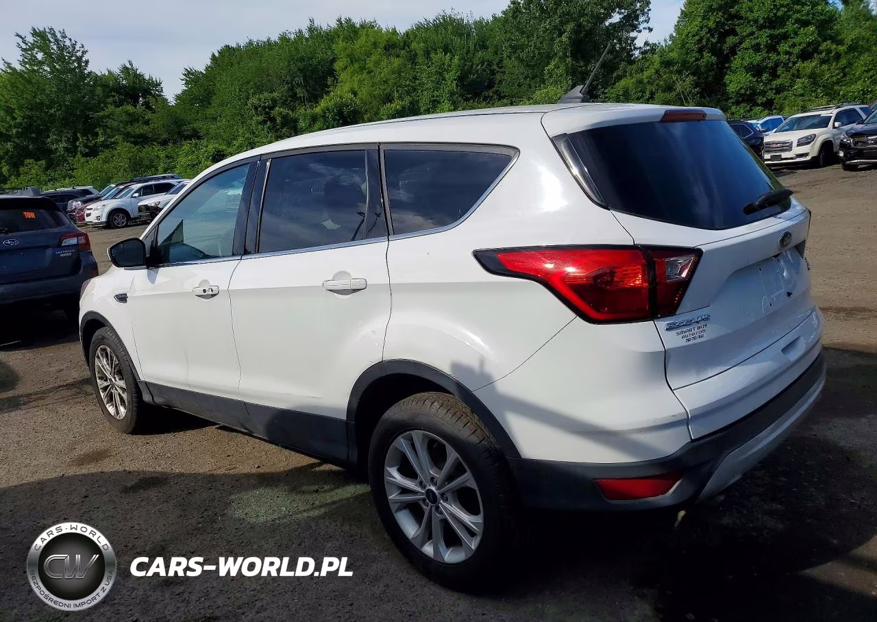 2019 Ford Escape VIN:1FMCU0GD3KUB65252 - 2