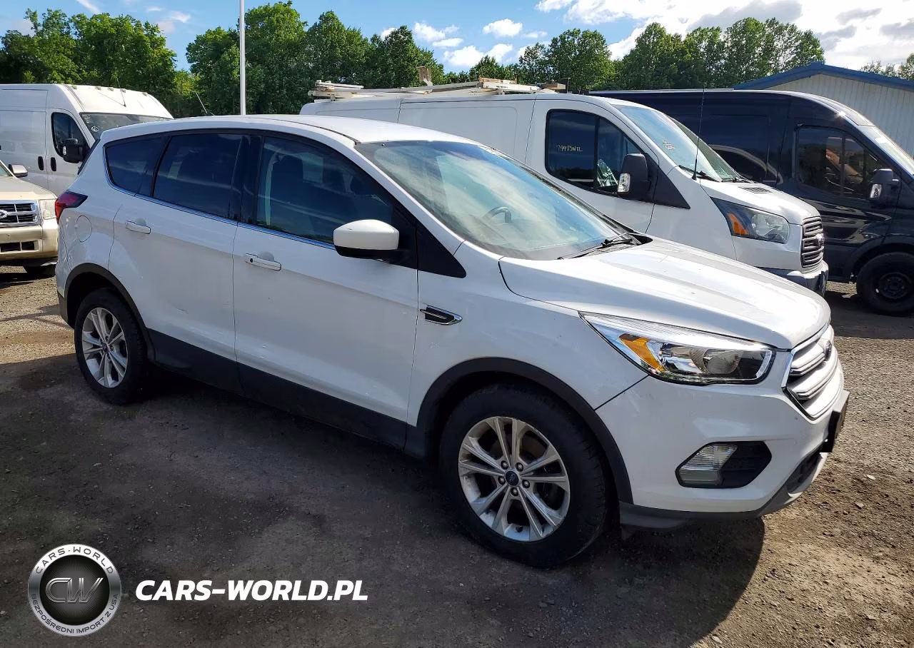 2019 Ford Escape VIN:1FMCU0GD3KUB65252 - 4