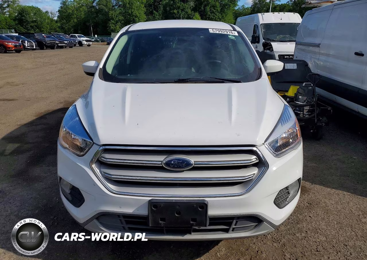 2019 Ford Escape VIN:1FMCU0GD3KUB65252 - 5