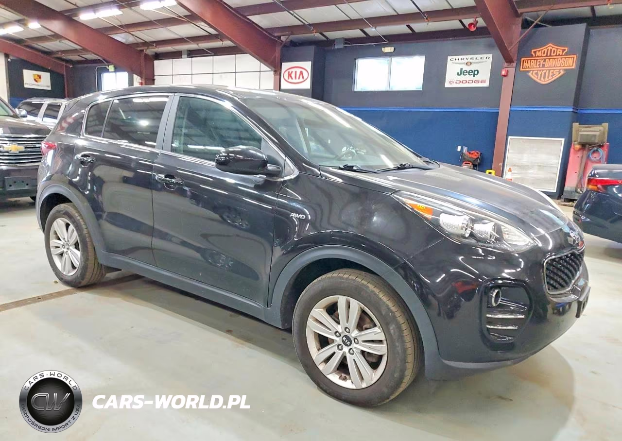 2017 Kia Sportage VIN:KNDPMCACXH7249194 - 4