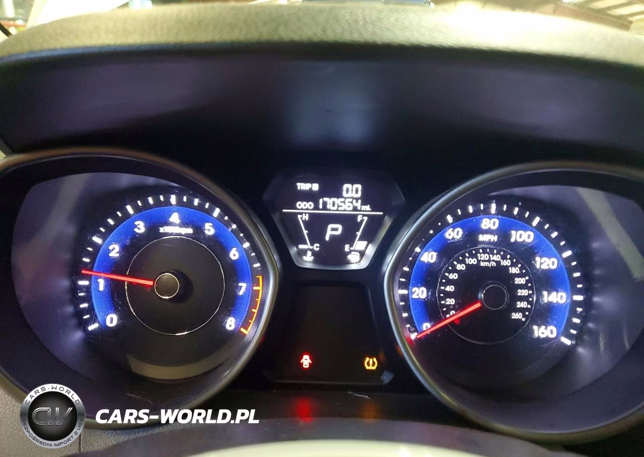2013 Hyundai Elantra VIN:5NPDH4AE0DH401049 - 9