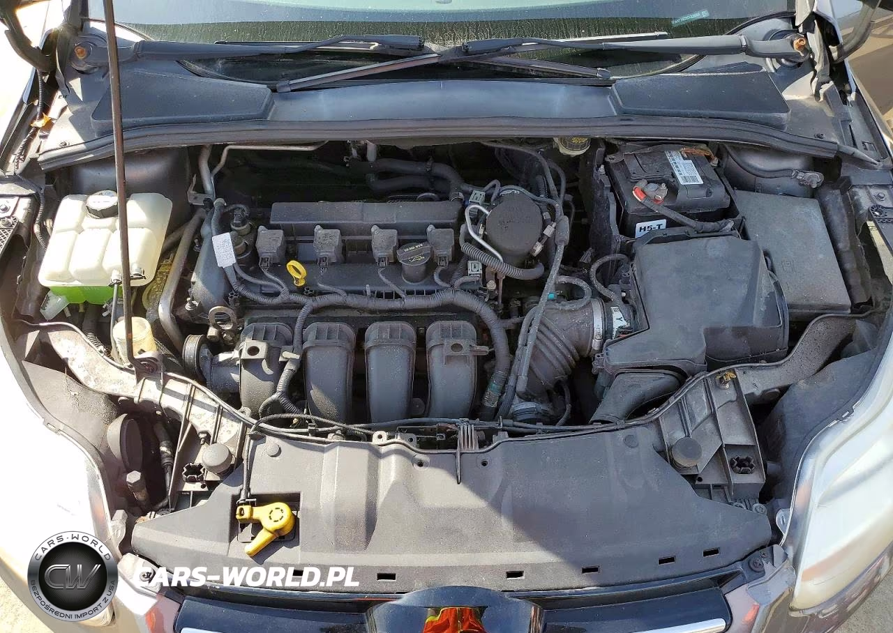 2012 Ford Focus Sel VIN:1FAHP3M26CL339060 - 11