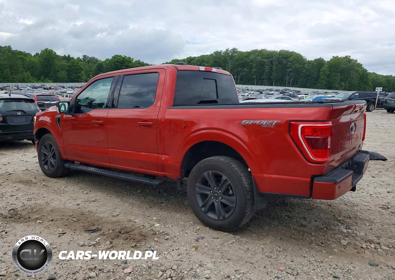 2023 Ford F150 Supercrew VIN:1FTEW1EP6PKE57636 - 2