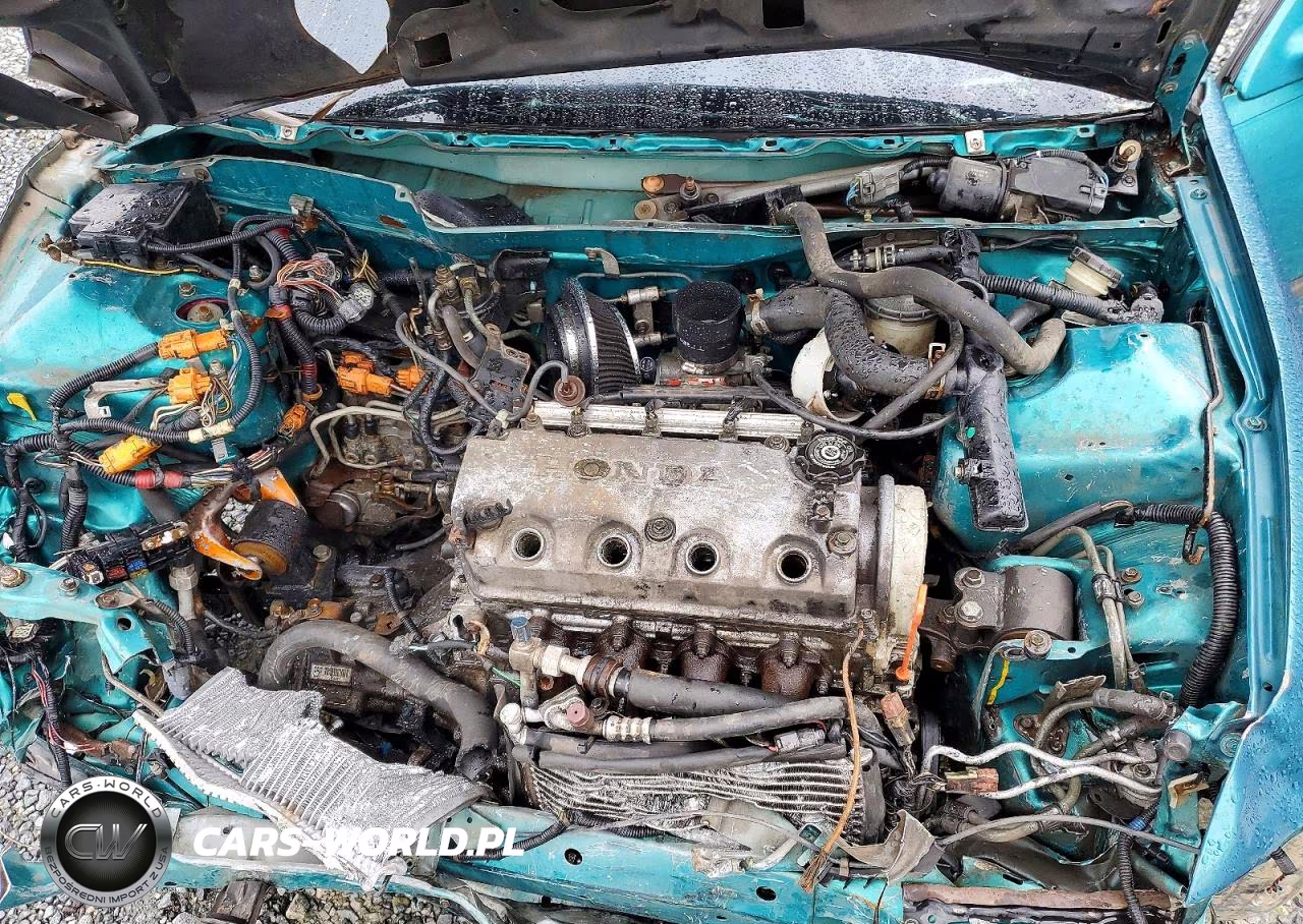 1994 Honda Civic Ex VIN:1HGEJ1232RL035958 - 11