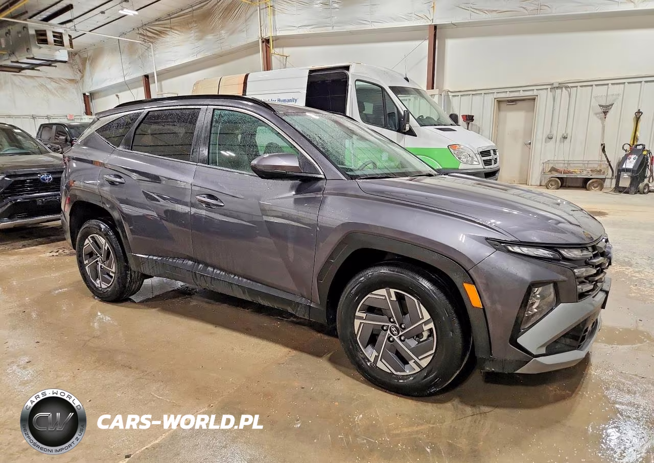 2025 Hyundai Tucson Blue VIN:KM8JBDD11SU338040 - 4