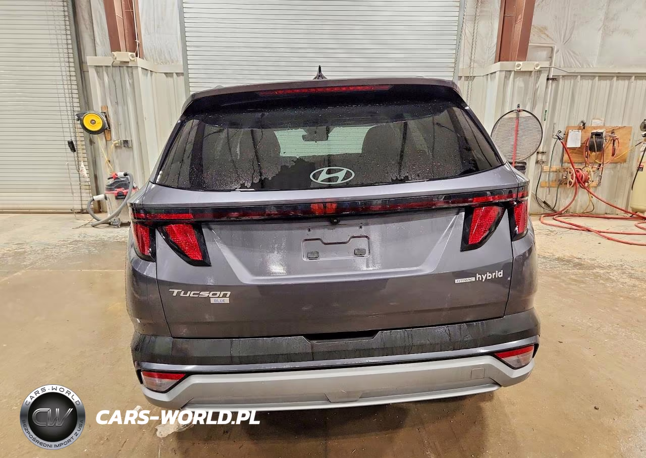 2025 Hyundai Tucson Blue VIN:KM8JBDD11SU338040 - 6