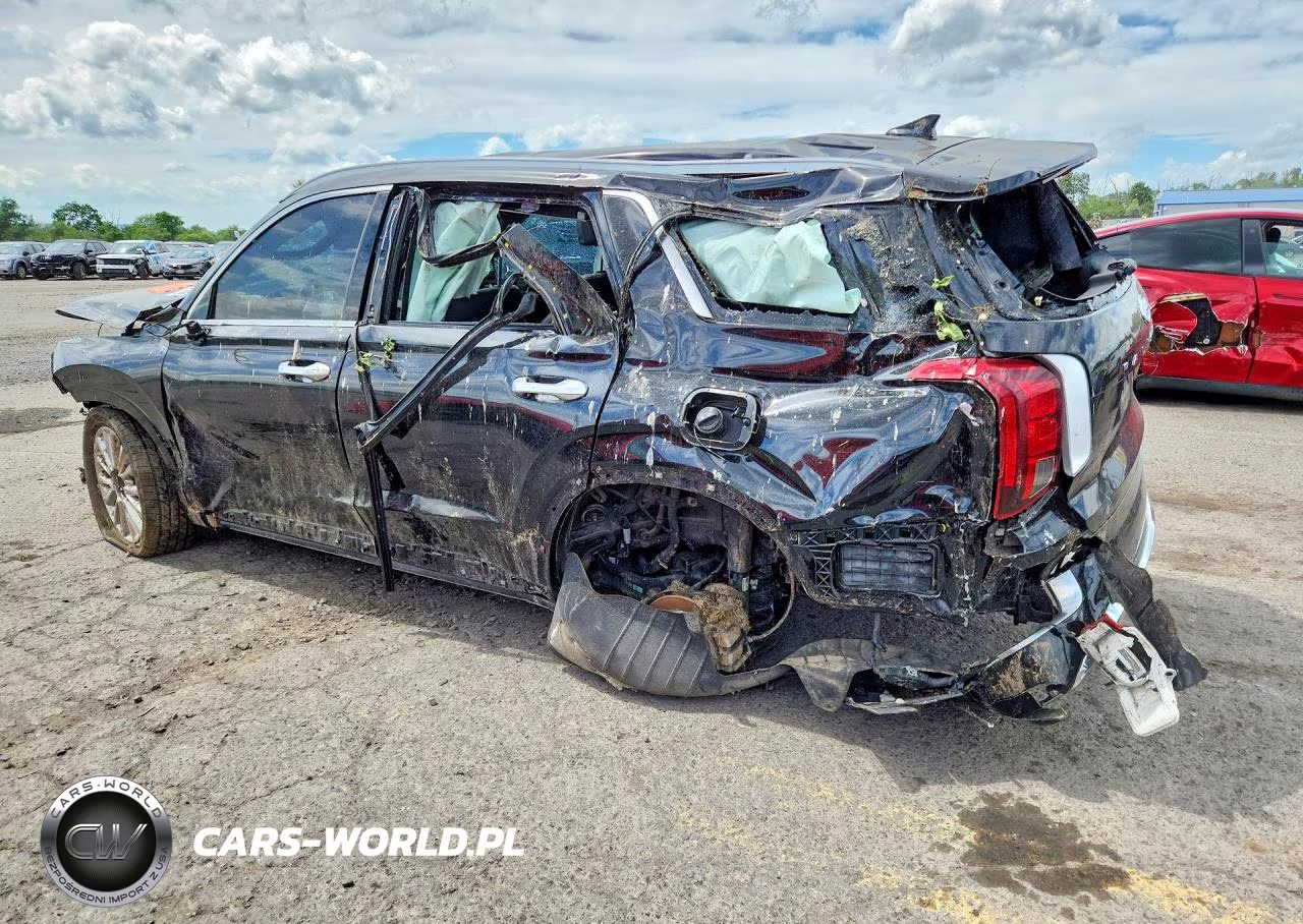2020 Hyundai Palisade Limited VIN:KM8R5DHE5LU067055 - 2