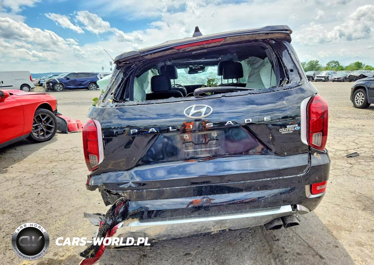 2020 Hyundai Palisade Limited VIN:KM8R5DHE5LU067055 - 6