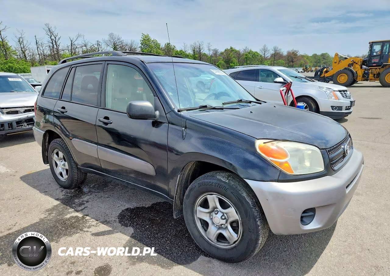 2004 Toyota Rav4 Base VIN:JTEHD20V546011766 - 4