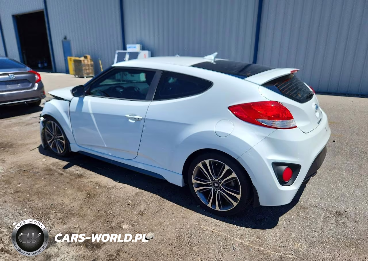 2016 Hyundai Veloster Turbo VIN:KMHTC6AE1GU293102 - 2
