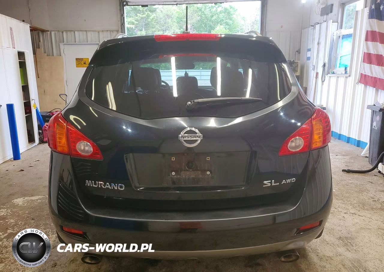 2010 Nissan Murano S VIN:JN8AZ1MW0AW129356 - 6