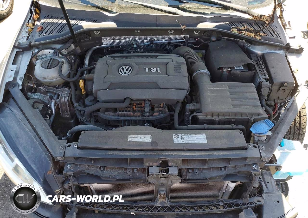 2017 Volkswagen Golf S VIN:3VW217AU3HM025318 - 11