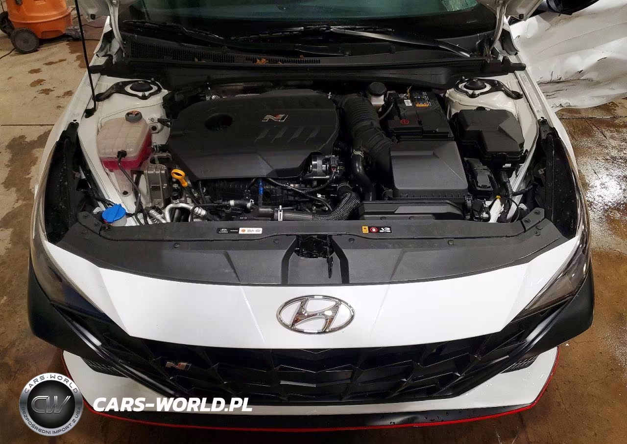 2023 Hyundai Elantra N Base VIN:KMHLW4AK0PU012800 - 11