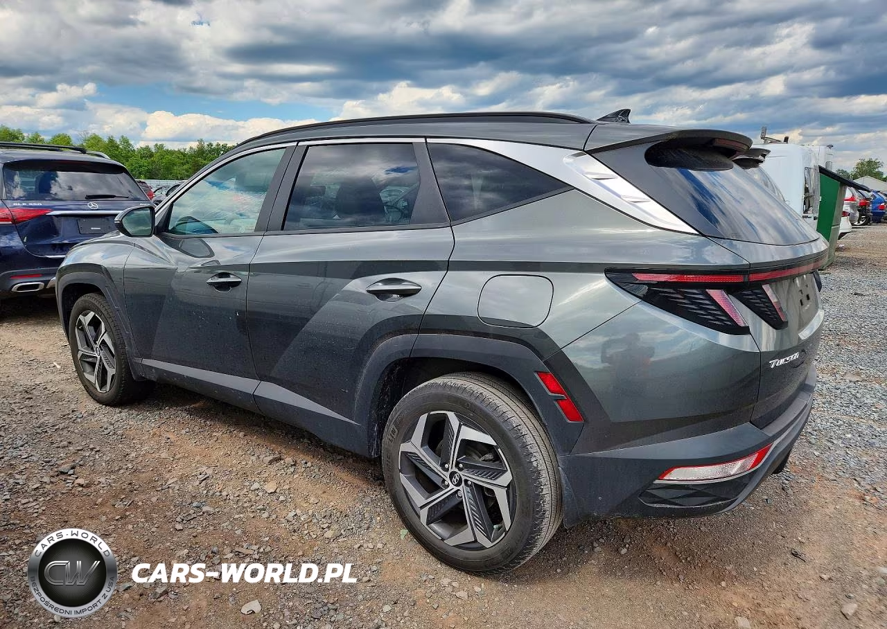 2023 Hyundai Tucson Sel VIN:5NMJFCAE5PH254053 - 2