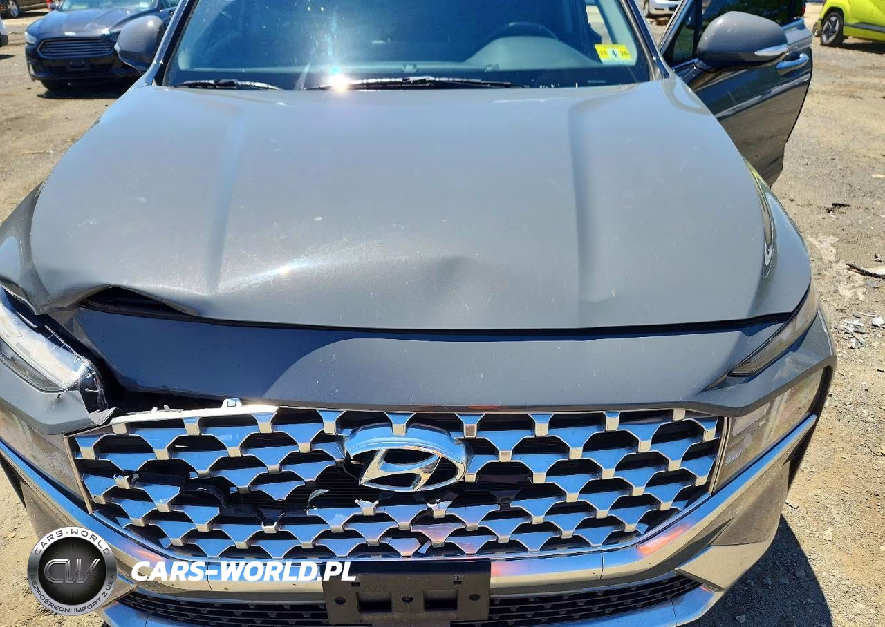 2021 Hyundai Santa Fe Sel VIN:5NMS64AJ7MH343772 - 12