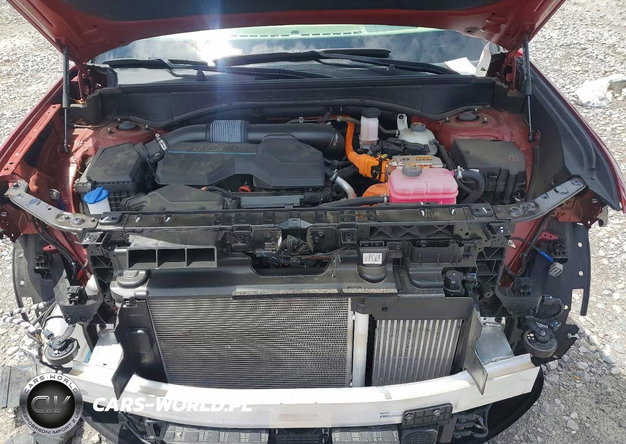 2024 Hyundai Santa Fe Sel VIN:5NMP24G19RH006794 - 12