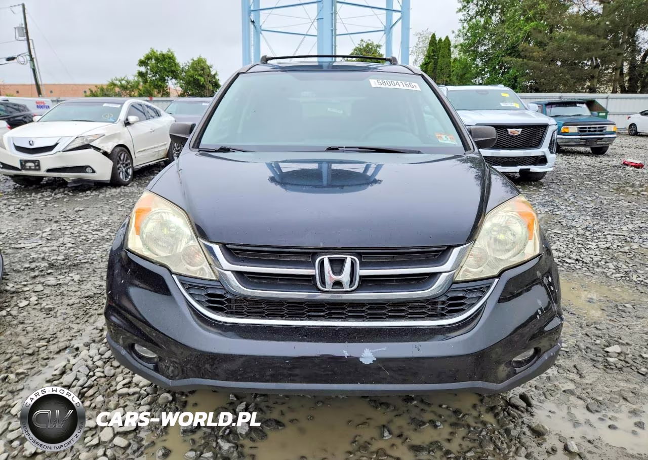 2010 Honda Cr-V VIN:5J6RE4H54AL010640 - 5