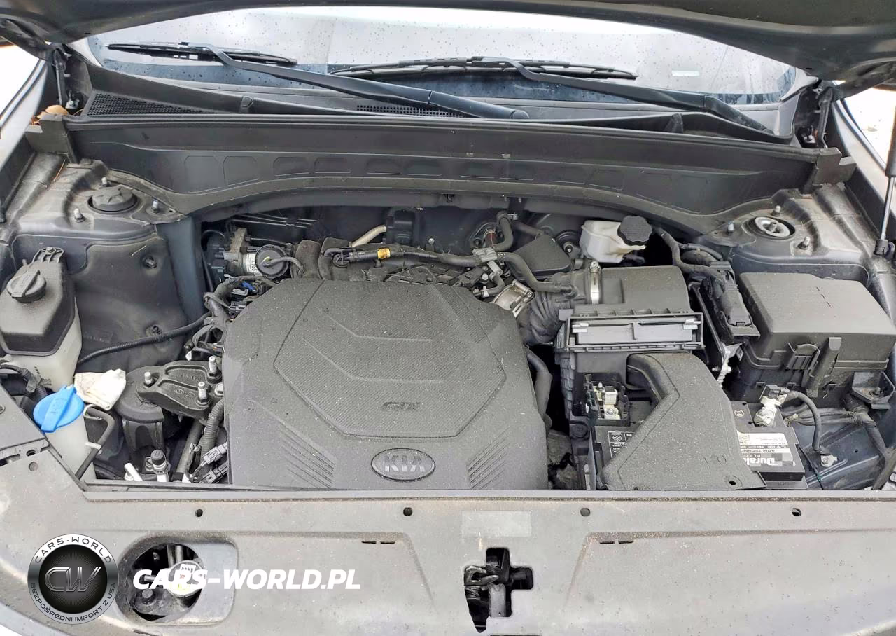 2020 Kia Telluride S VIN:5XYP64HC3LG089189 - 12