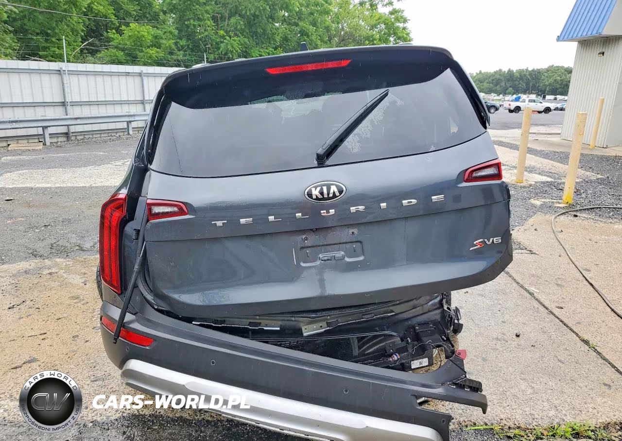 2020 Kia Telluride S VIN:5XYP64HC3LG089189 - 6