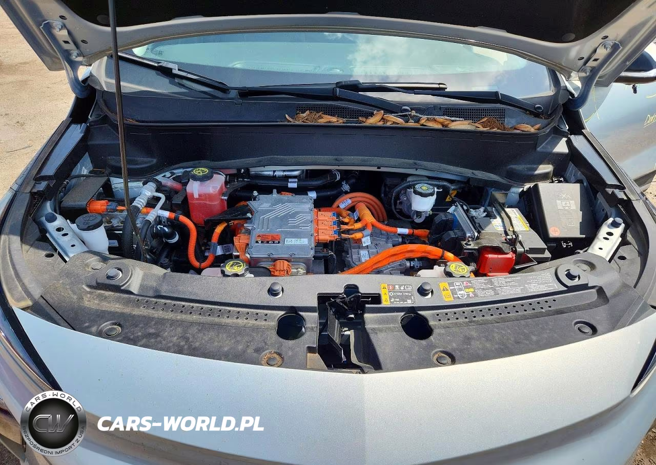 2023 Chevrolet Bolt Euv Premier VIN:1G1FZ6S0XP4168501 - 11