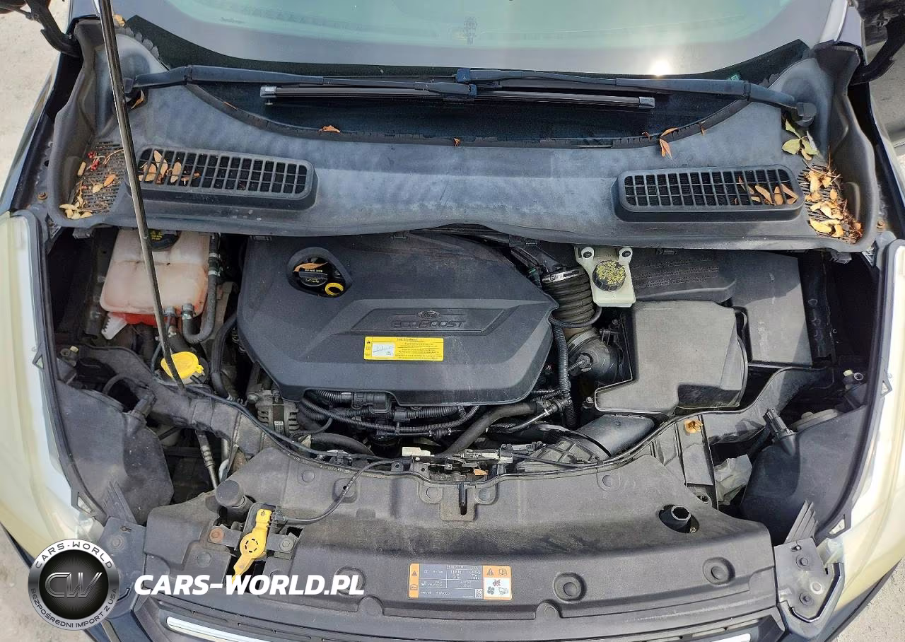 2014 Ford Escape Se VIN:1FMCU0GX4EUC34819 - 12