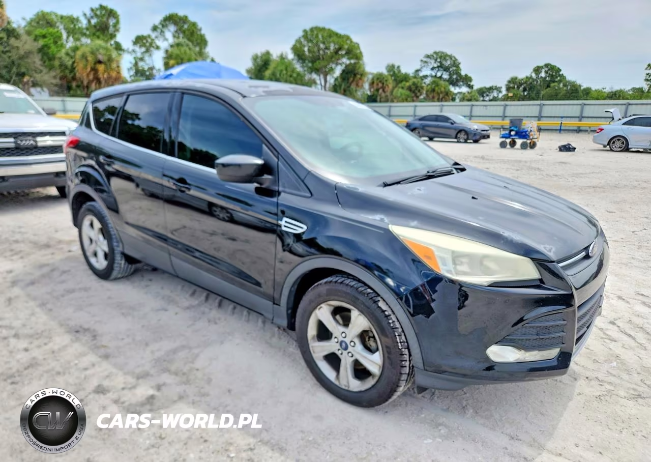 2014 Ford Escape Se VIN:1FMCU0GX4EUC34819 - 4