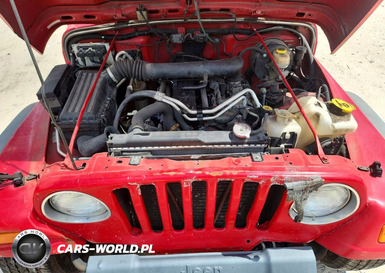2004 Jeep Wrangler X VIN:1J4FA39S84P789244 - 11