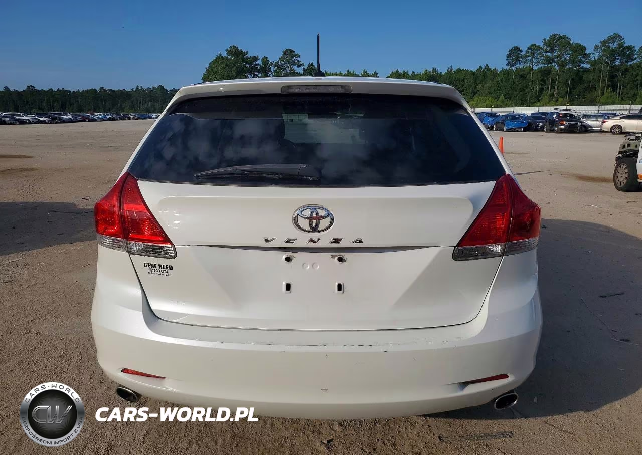 2009 Toyota Venza VIN:4T3ZK11A19U012326 - 6