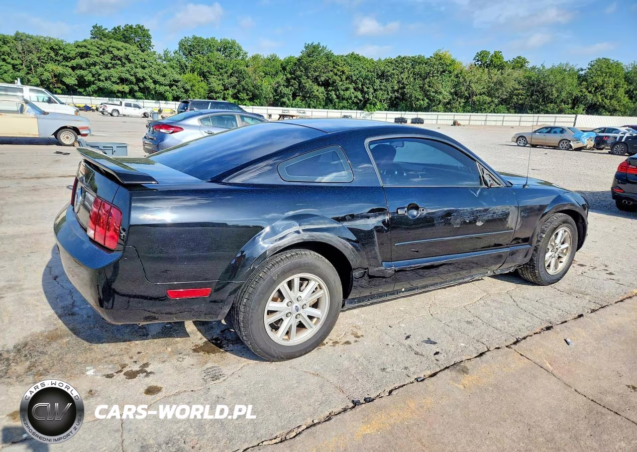 2005 Ford Mustang VIN:1ZVFT80NX55154573 - 3
