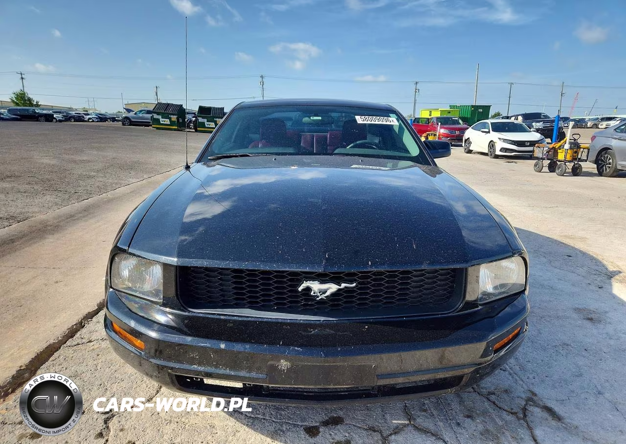 2005 Ford Mustang VIN:1ZVFT80NX55154573 - 5