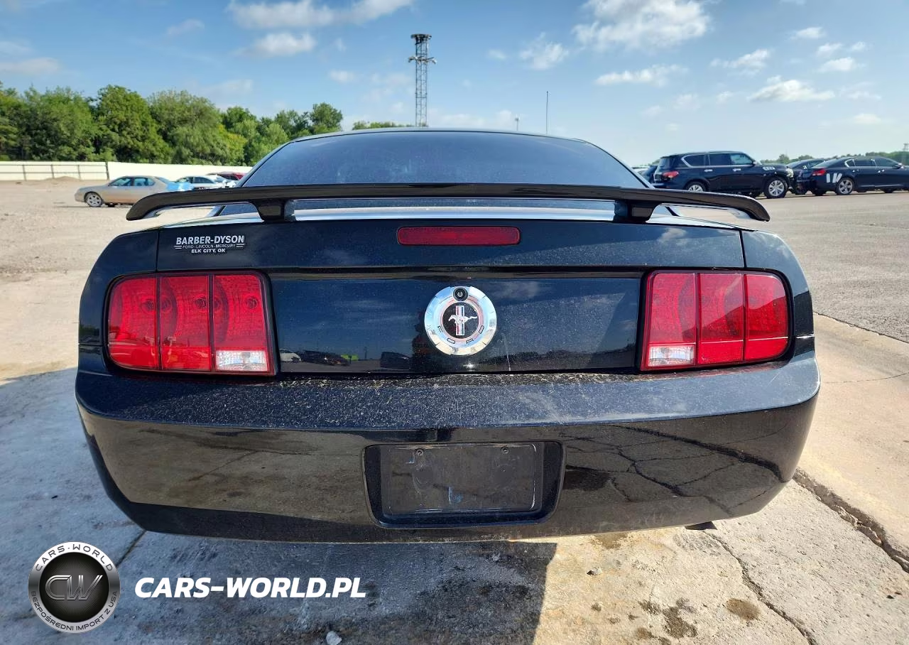 2005 Ford Mustang VIN:1ZVFT80NX55154573 - 6