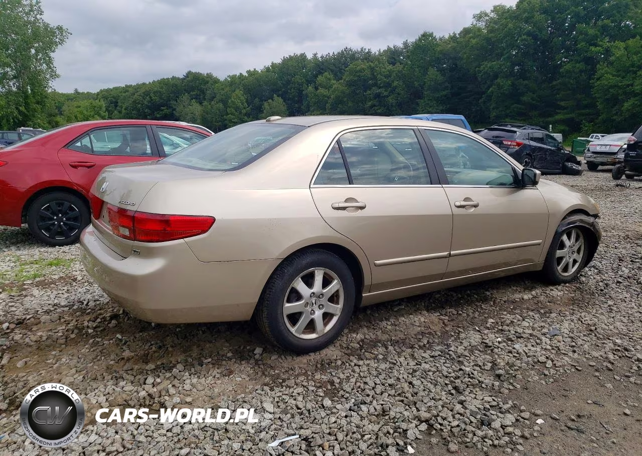 2005 Honda Accord Ex VIN:1HGCM66805A002688 - 3
