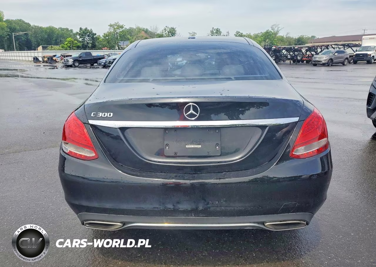 2017 Mercedes-Benz C 300 VIN:55SWF4JB4HU222472 - 6