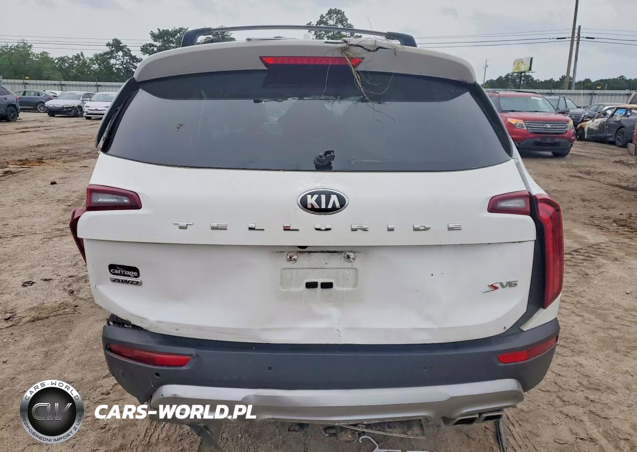 2020 Kia Telluride S VIN:5XYP6DHC8LG092153 - 6