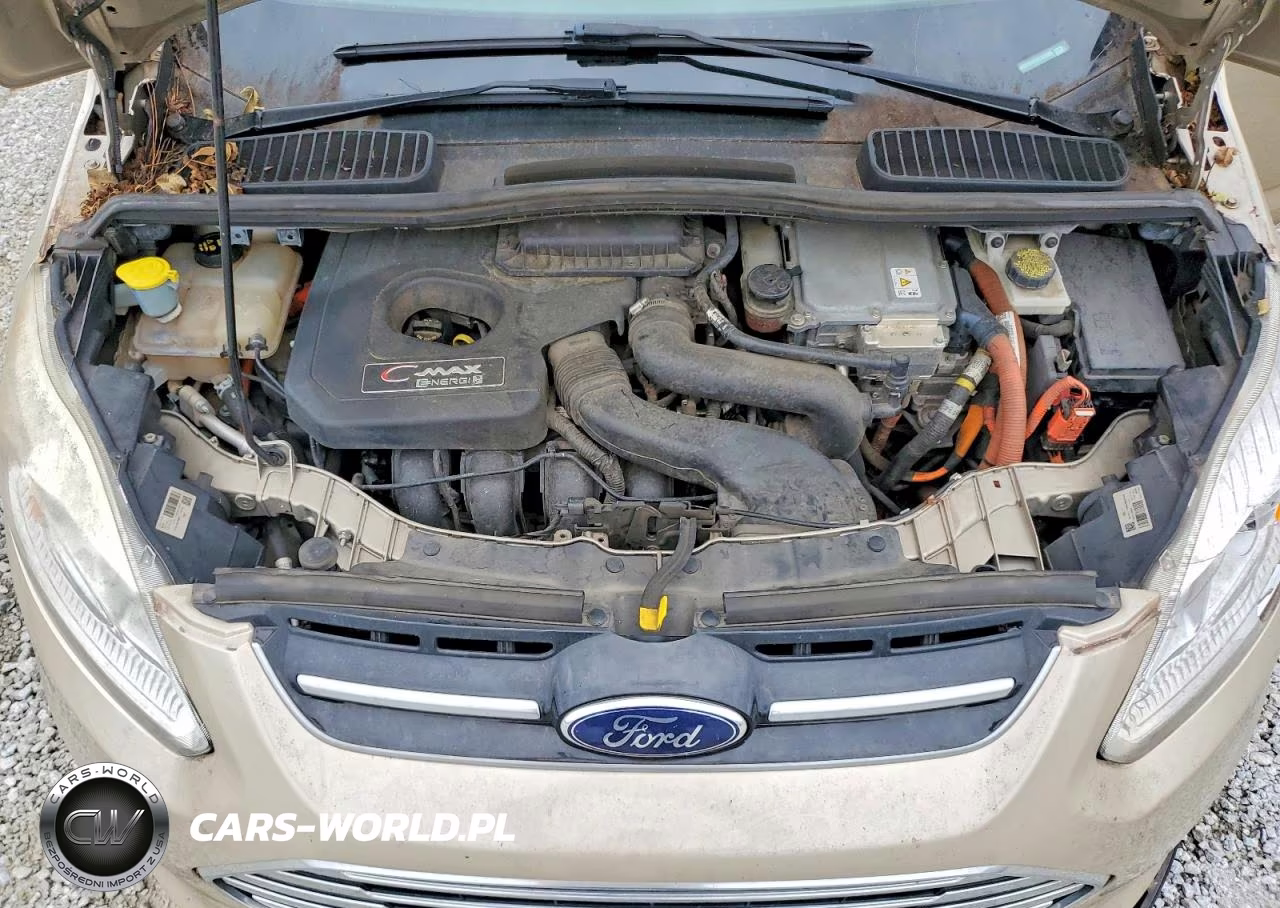 2017 Ford C-Max Titanium VIN:1FADP5FU1HL101956 - 11