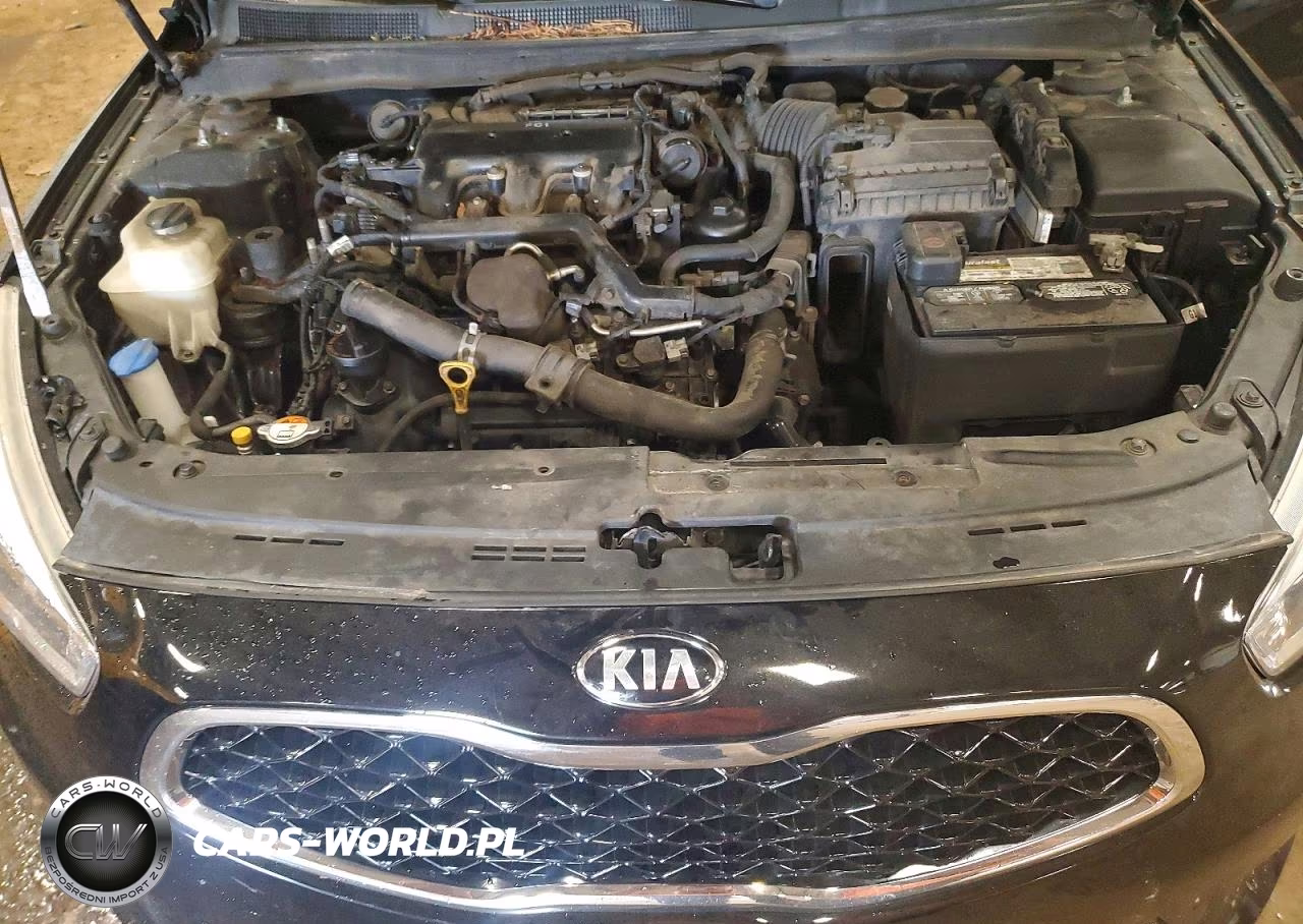 2016 Kia Cadenza Luxury VIN:KNALN4D75G5208544 - 11