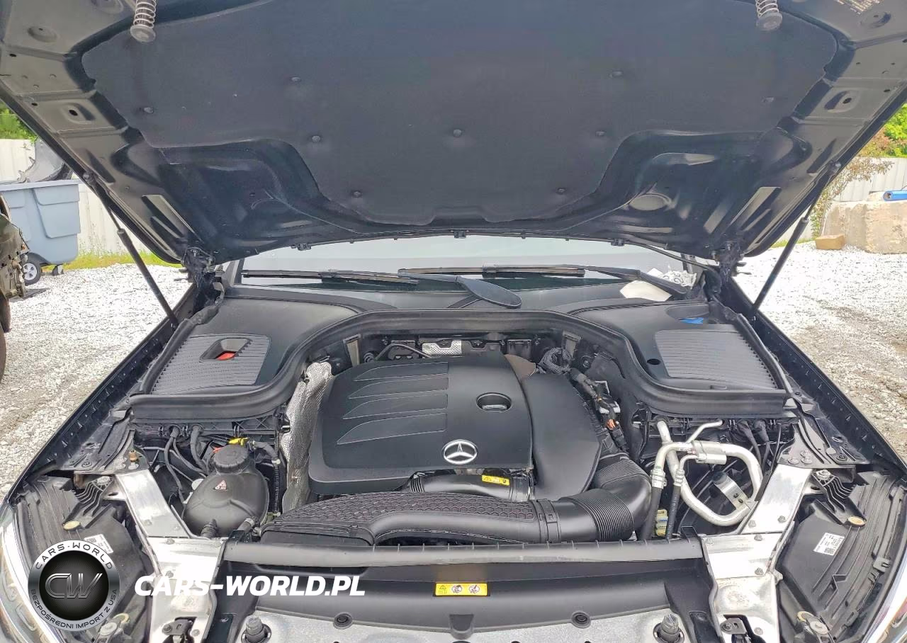 2020 Mercedes-Benz Glc 300 4Matic VIN:W1N0G8EB1LF770772 - 12
