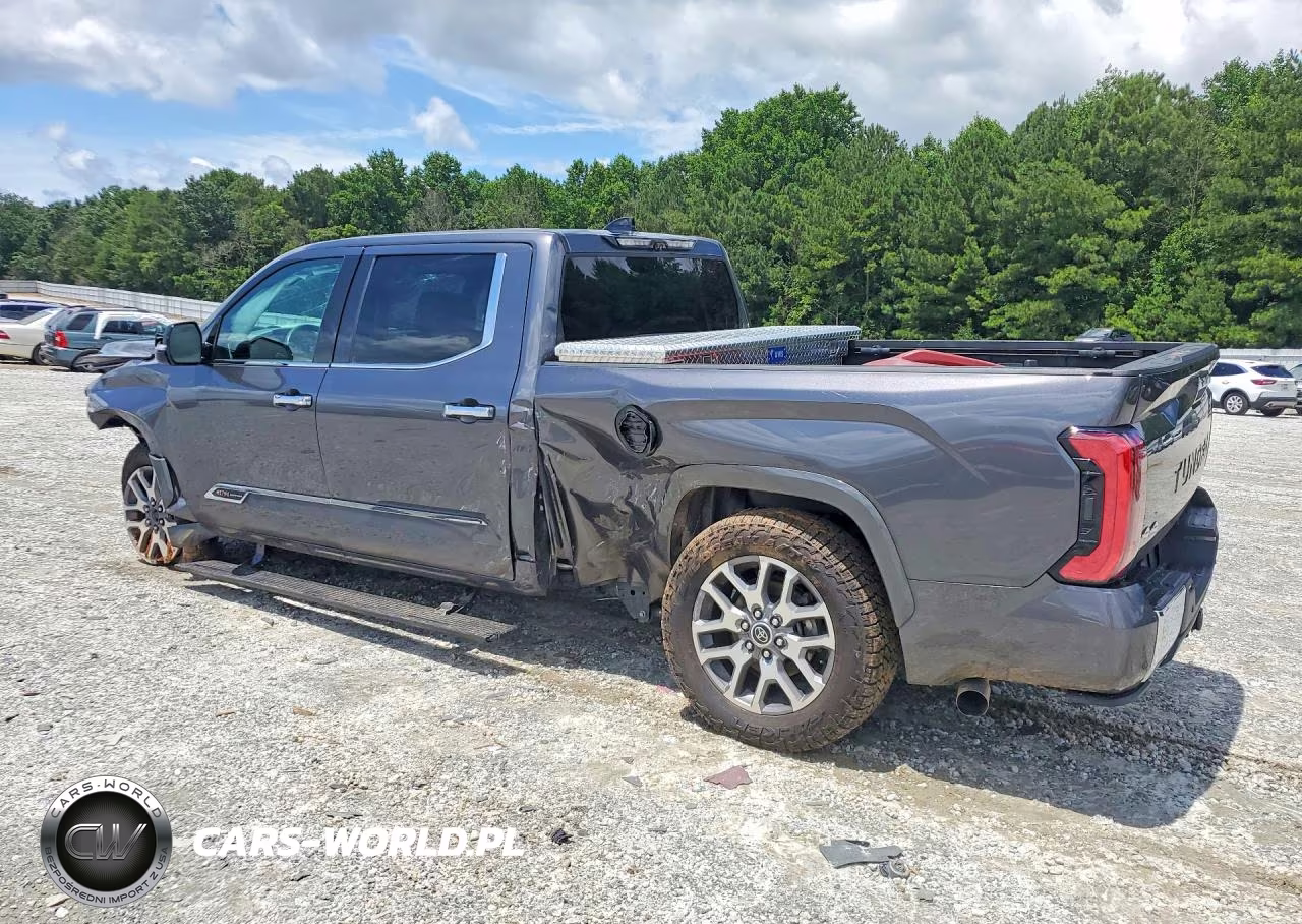 2022 Toyota Tundra 1794 Edition VIN:5TFMA5EC9NX010149 - 2
