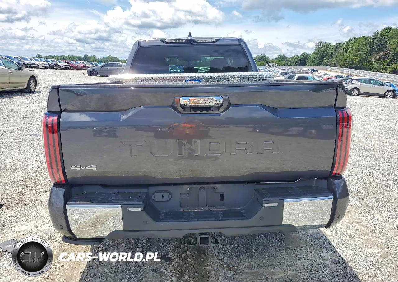 2022 Toyota Tundra 1794 Edition VIN:5TFMA5EC9NX010149 - 6
