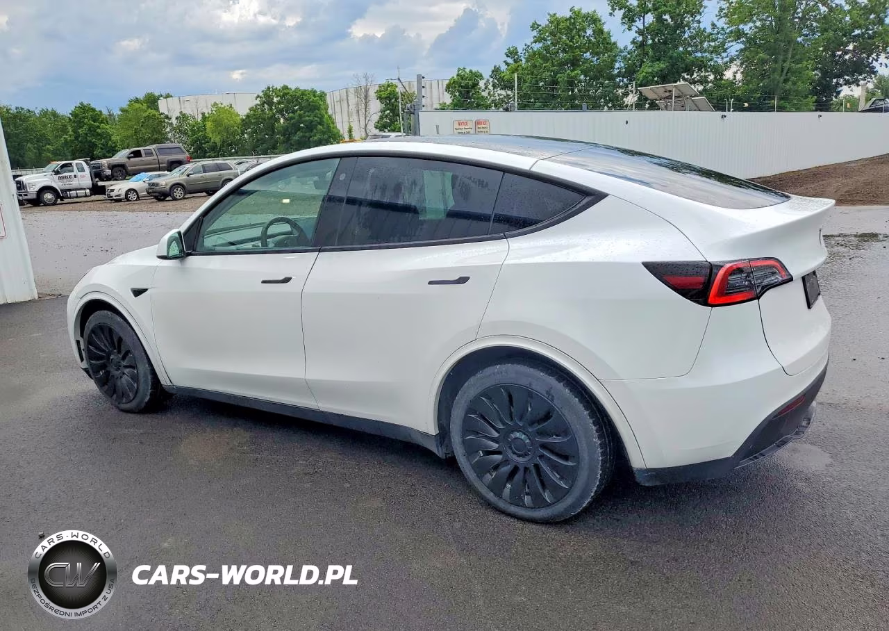 2023 TESLA MODEL Y VIN:7SAYGDEE1PF611177 - 2