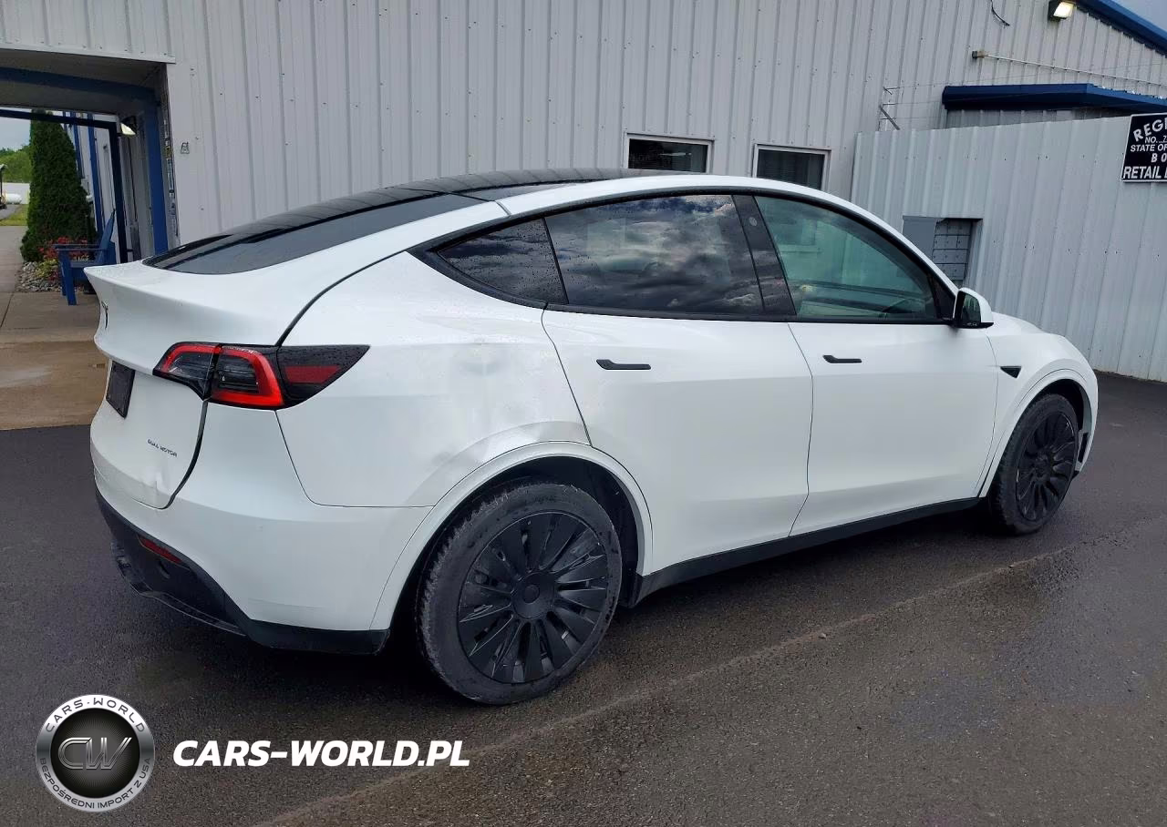 2023 TESLA MODEL Y VIN:7SAYGDEE1PF611177 - 3