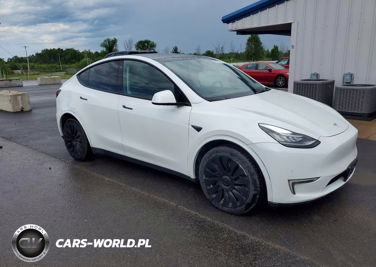 2023 TESLA MODEL Y VIN:7SAYGDEE1PF611177 - 4