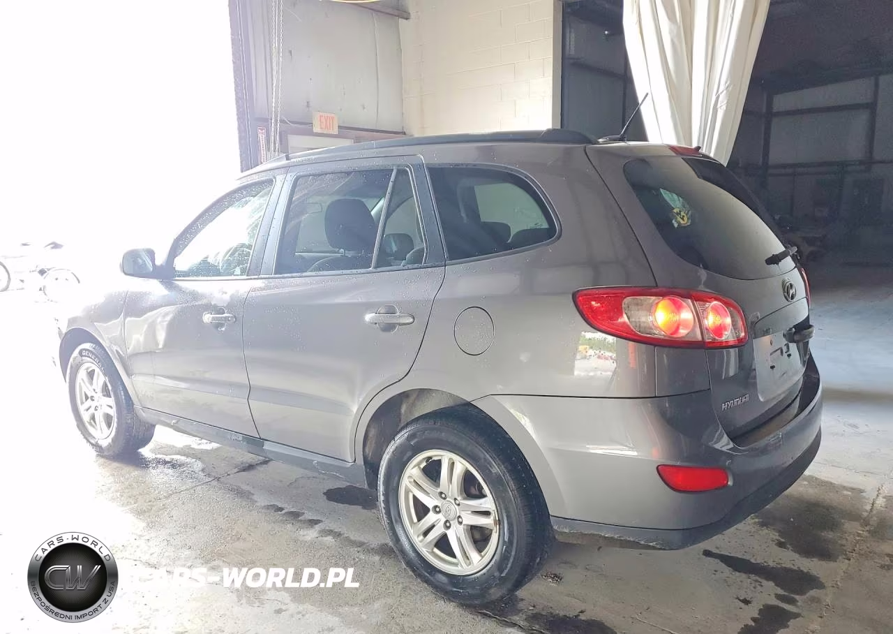 2010 Hyundai Santa Fe Gls VIN:5NMSGDAB0AH369874 - 2
