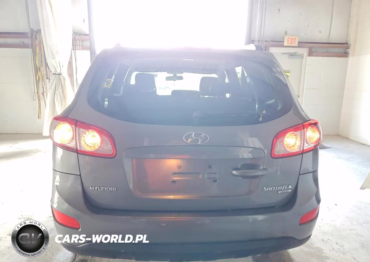 2010 Hyundai Santa Fe Gls VIN:5NMSGDAB0AH369874 - 6