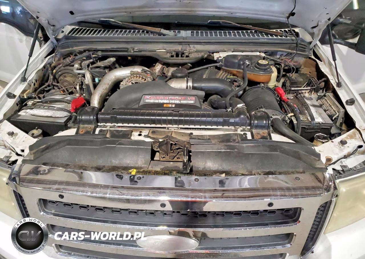 2005 Ford F350 Super Duty VIN:1FTWW33P65EA62760 - 11