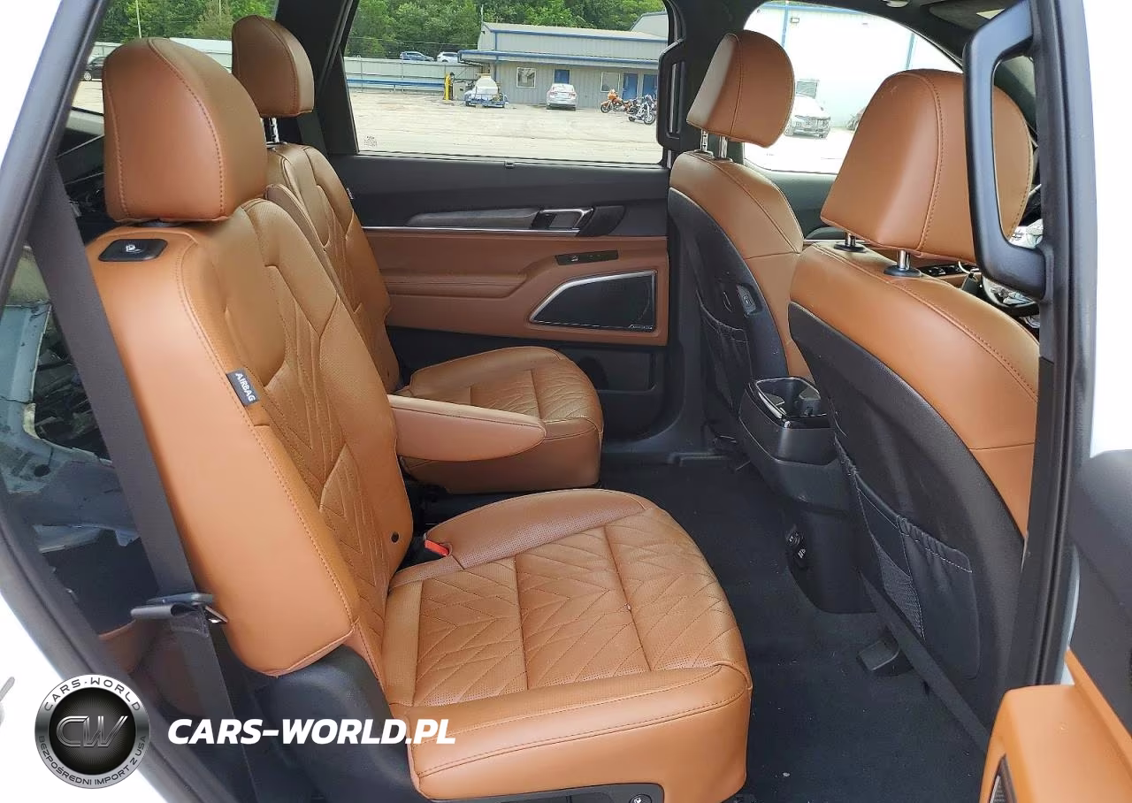 2024 Kia Telluride Sx-Prestige X-Line VIN:5XYP5DGC3RG436016 - 11