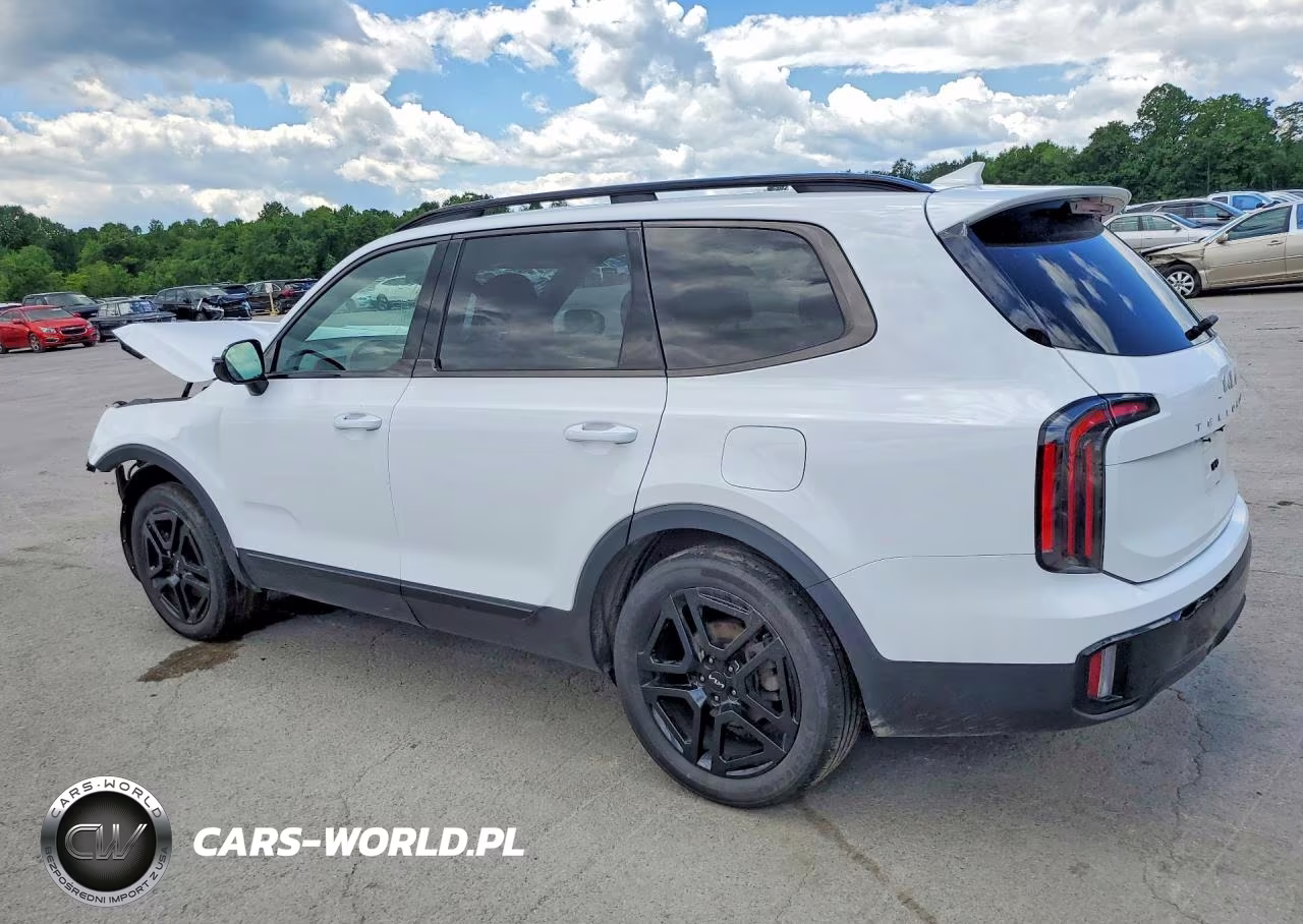 2024 Kia Telluride Sx-Prestige X-Line VIN:5XYP5DGC3RG436016 - 2