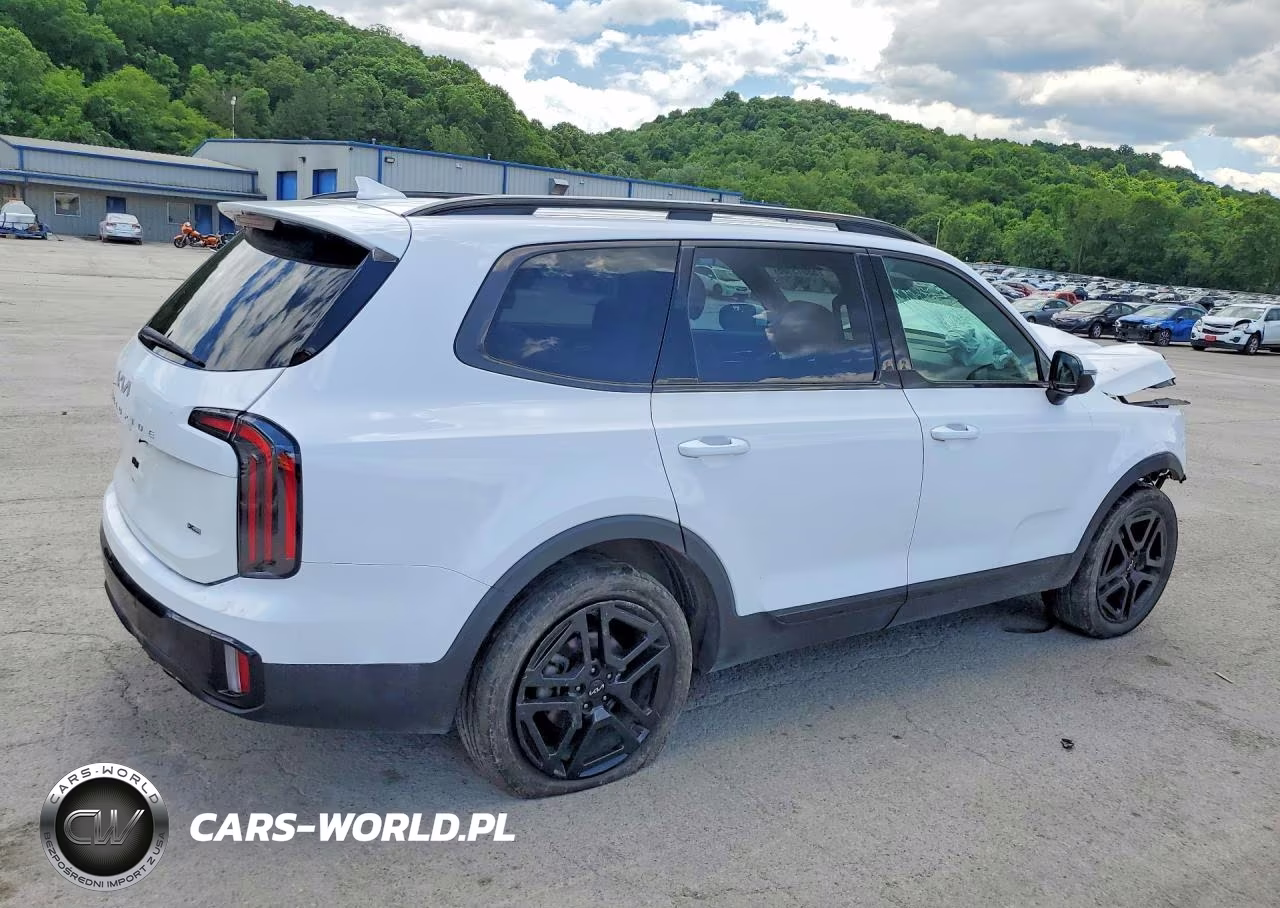 2024 Kia Telluride Sx-Prestige X-Line VIN:5XYP5DGC3RG436016 - 3