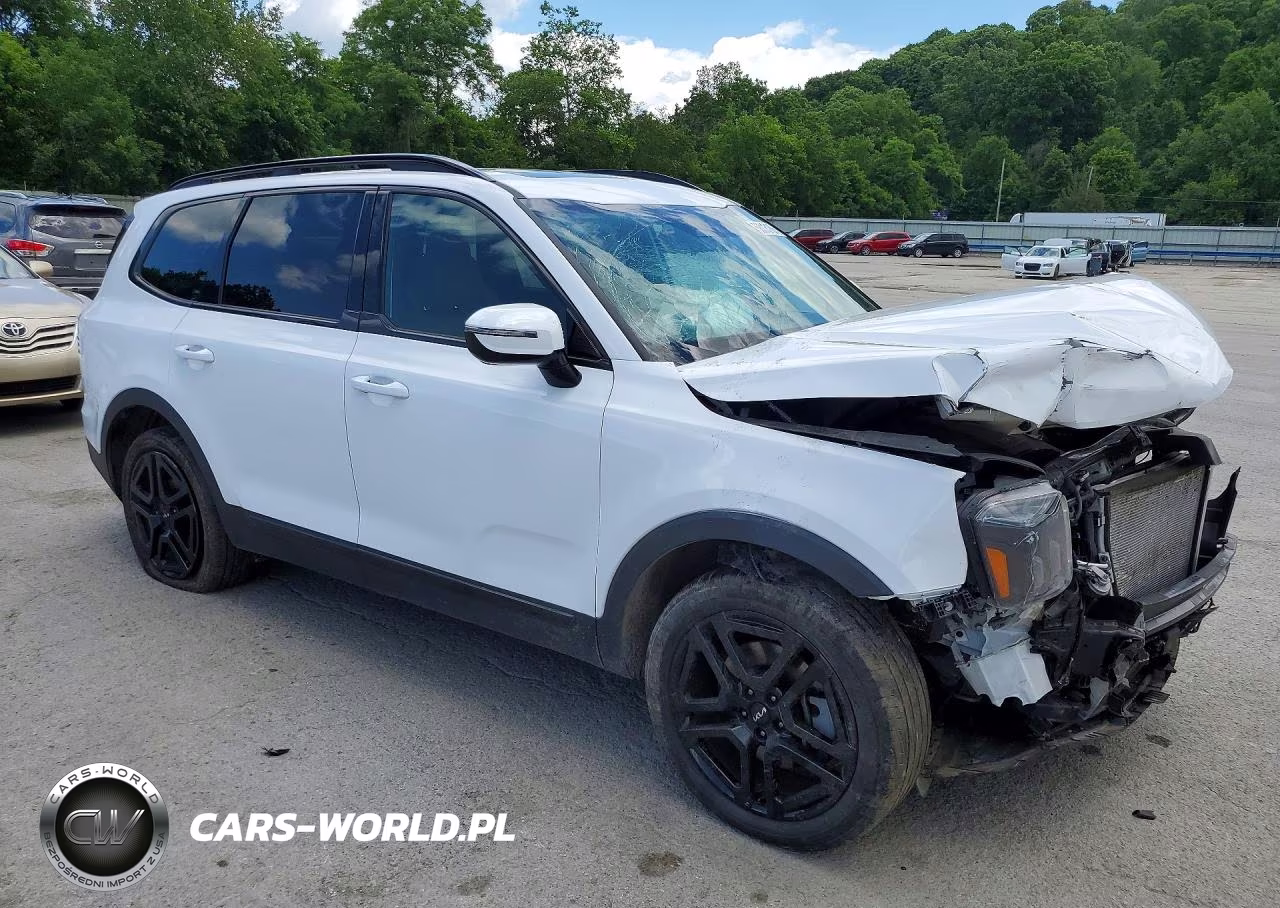 2024 Kia Telluride Sx-Prestige X-Line VIN:5XYP5DGC3RG436016 - 4