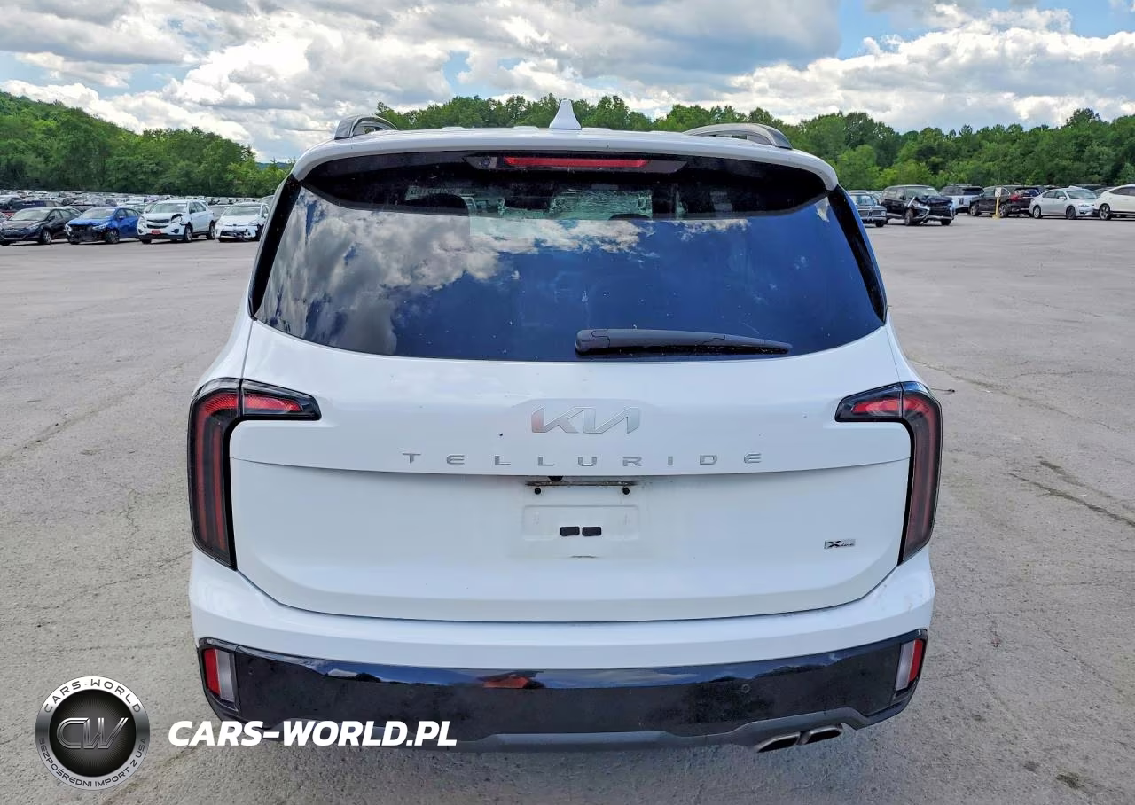 2024 Kia Telluride Sx-Prestige X-Line VIN:5XYP5DGC3RG436016 - 6